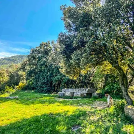 度假居 La Casa De Gaga Camplong-d'Aude